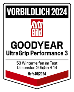 Winterreifen Testsieger 2024